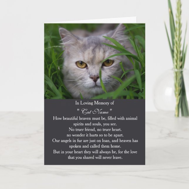 Cartão Cat Sympathy Card Personalized photo Pet Memorial (Frente)