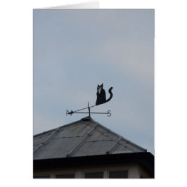 Cartão Cata-Vento Gato Preto