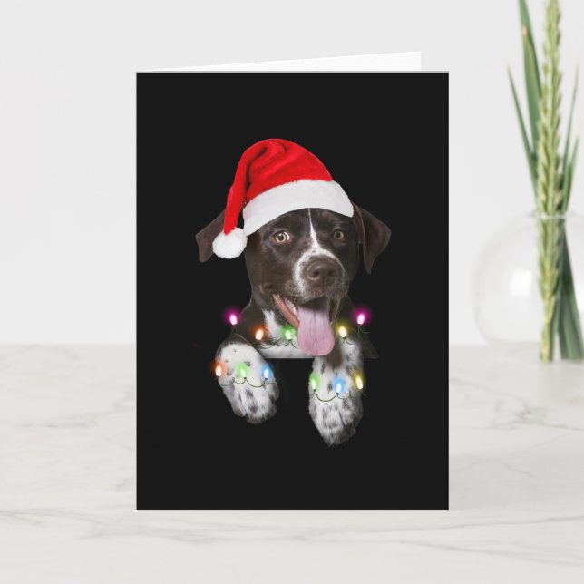 Cartão catahoula cachorrinho sentado luz de natal (Frente)