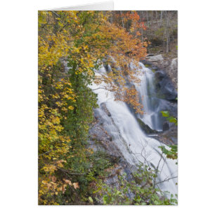 Cartão Cataratas do Rio Bald