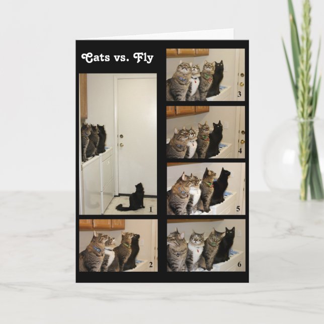 Cartão Cats vs Fly Birthday Card (Frente)