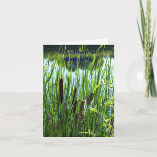 Cartão Cattails At The Pond, Sympathy