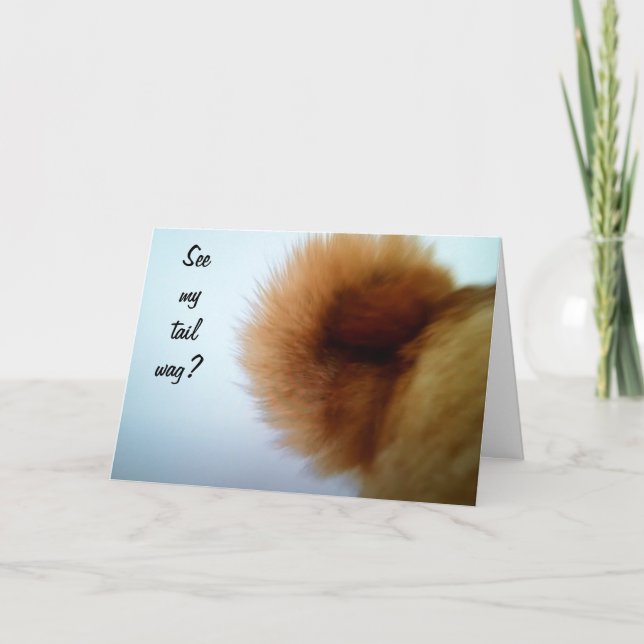 CARTÃO CAUDA A ENVOLVER UM CÃO FELIZ (Frente)