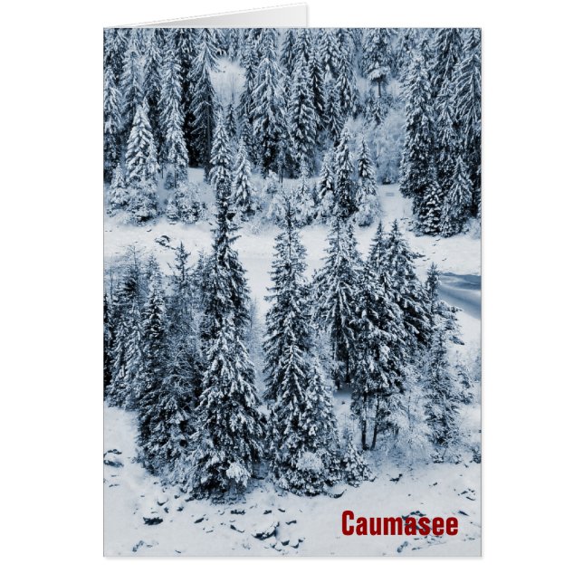 Cartão Caumasee (Frente)