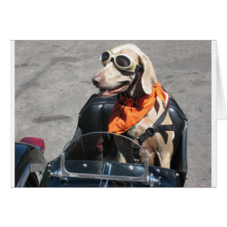 Cartão Cavaleiro fácil