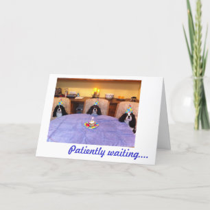 Cartão Cavalier Birthday Wishes