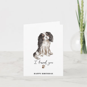 Cartão Cavalier King Charles Cão Pata Cachorro Animais An