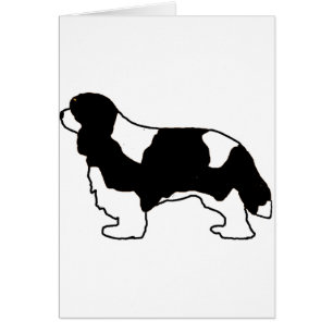 Cartão Cavalier King Charles silo preto e branco