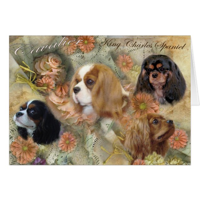 Cartão Cavalier King Charles Spaniel (Frente Horizontal)