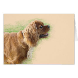 Cartão Cavalier King Charles Spaniel