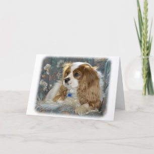 Cartão Cavalier King Charles Spaniel 8R16D-01
