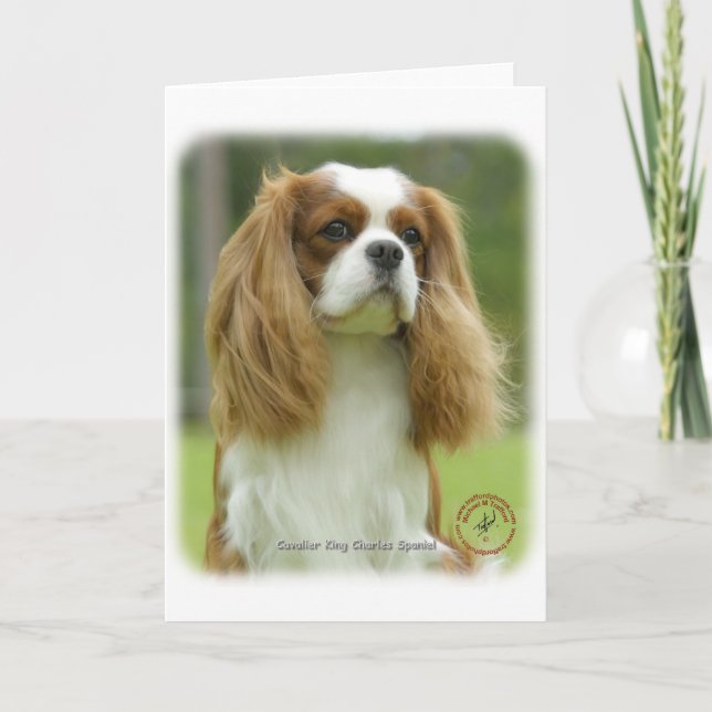 Cartão Cavalier King Charles Spaniel 9F097D-08 (Frente)