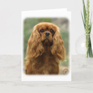 Cartão Cavalier King Charles Spaniel 9F51D-10