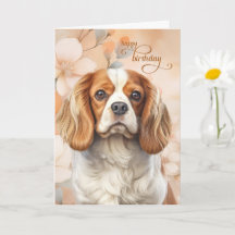Cavalier King Charles Spaniel Cachorro Flor de Ani