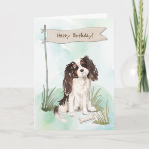 Cartão Cavalier King Charles Spaniel Cog Em Aniversário