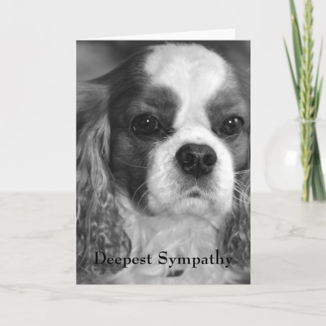 Cartão Cavalier King Charles Spaniel Deepest Sympathy (Frente)