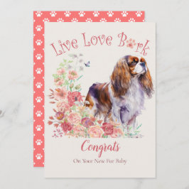 Cartão Cavalier King Charles Spaniel Dog Adotion, Gotcha