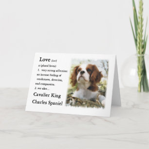 Cartão Cavalier King Charles Spaniel Gifts