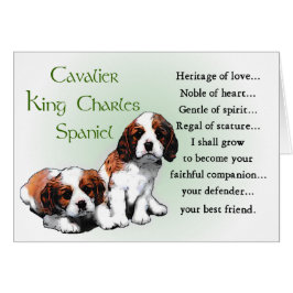 Cartão Cavalier King Charles Spaniel Gifts
