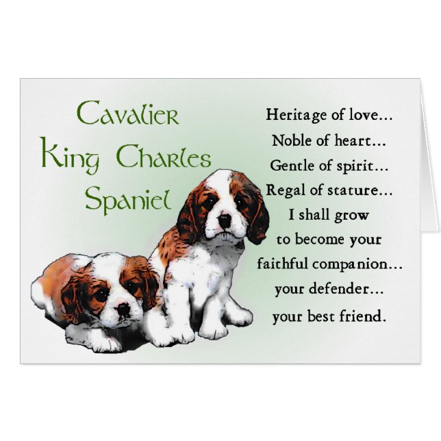 Cartão Cavalier King Charles Spaniel Gifts (Frente Horizontal)