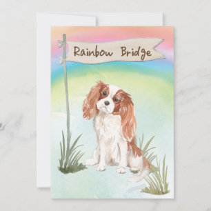 Cartão Cavalier King Charles Spaniel Pet Simpatia