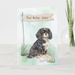 Cartão Cavalier King Charles Spaniel Se Sinta Melhor Ciru