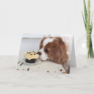 Cartão Cavalier King Charles Spaniel Sexta-feira Cupcake