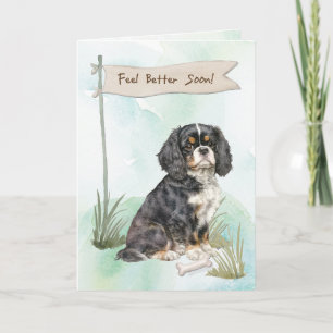 Cartão Cavalier King Charles Spaniel Sinta-se Melhor Ciru
