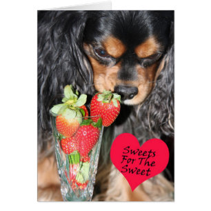 Cartão Cavalier King Charles Spaniel Strawberry