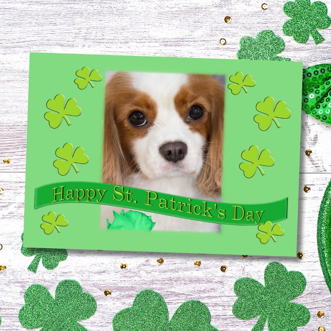 Cartão Cavalier King Charles Spaniels Dia de São Patrício (Criador carregado)