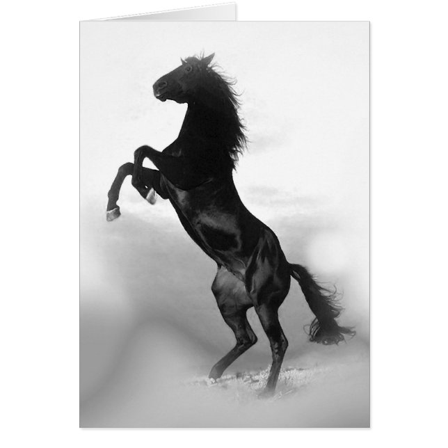 Cartão Cavalo (Frente)