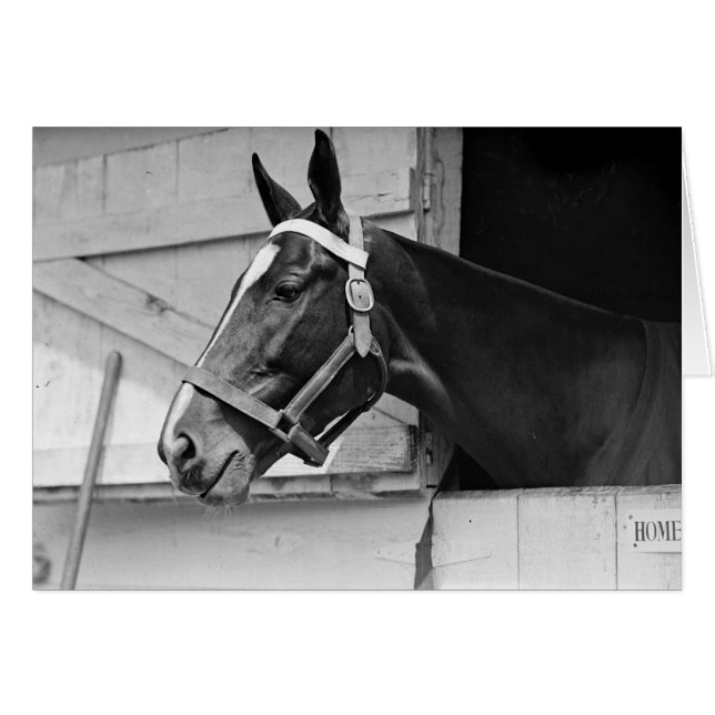 Cartão Cavalo (Frente Horizontal)