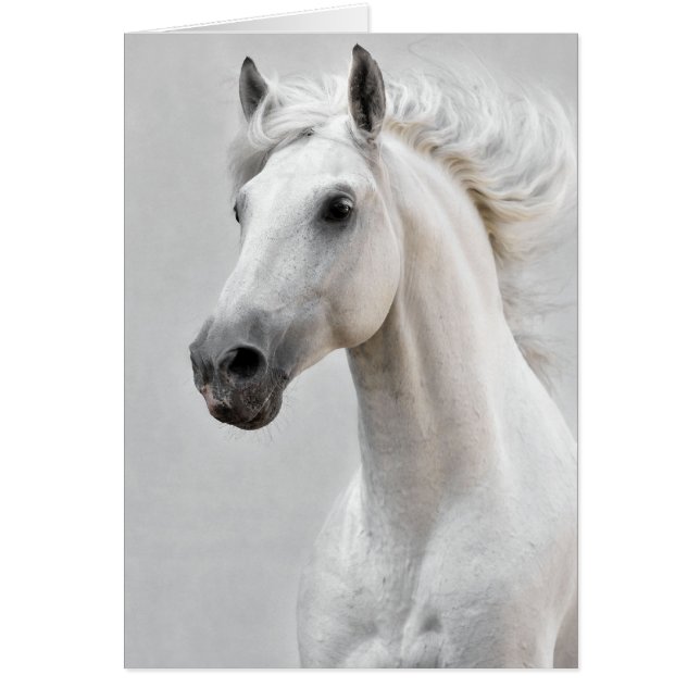 Cartão Cavalo (Frente)