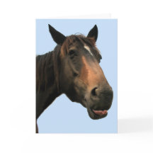 Cavalo