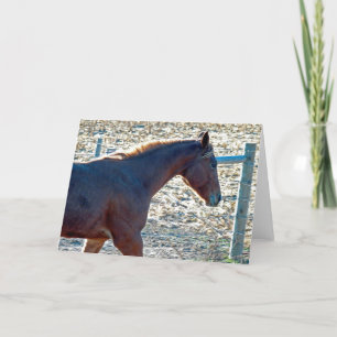 Cartão Cavalo
