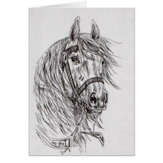 Cartão cavalo