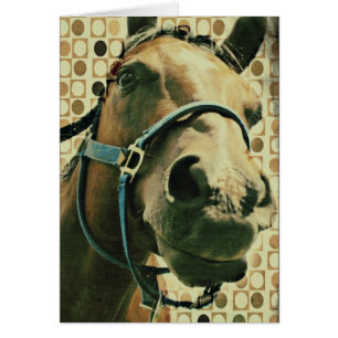 Cartão Cavalo