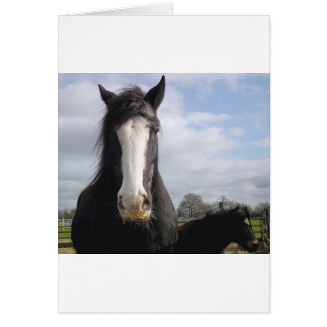 Cartão Cavalo (Frente)