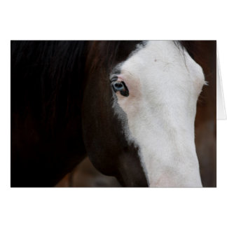Cartão Cavalo