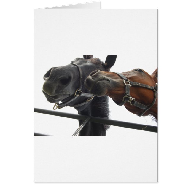 Cartão Cavalo à volta (Frente)