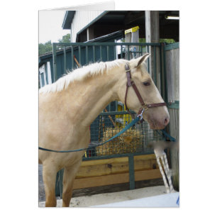 Cartão Cavalo amarelo