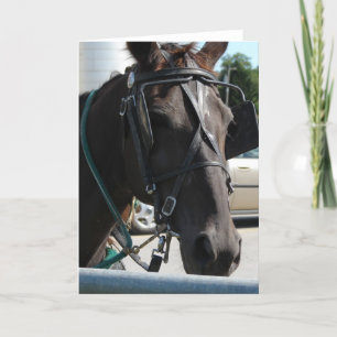 Cartão Cavalo Amish
