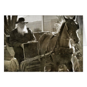 Cartão Cavalo Amish Sendo Bobo Com A Língua Presa