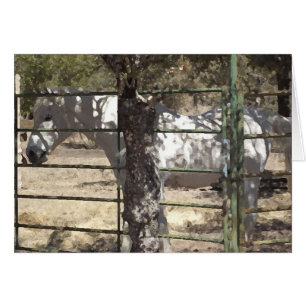 Cartão Cavalo árabe de "Vato"