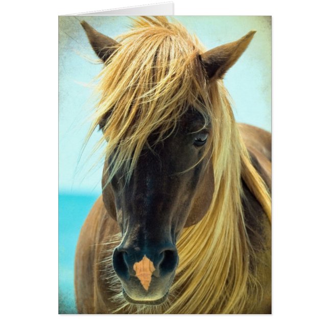 Cartão Cavalo bonito (Frente)