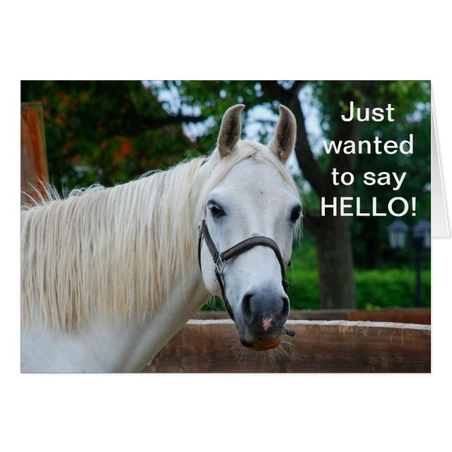 Cartão Cavalo Branco (Frente horizontal)