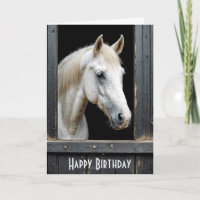 Cavalo Branco Em Forma Estável