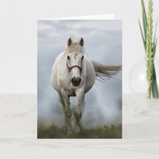 Cartão Cavalo Branco Galopping