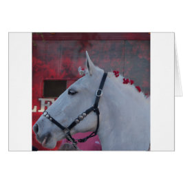 Cartão cavalo branco puro com rédea preta e flores vermel