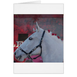 Cartão cavalo branco puro com rédea preta e flores vermel
